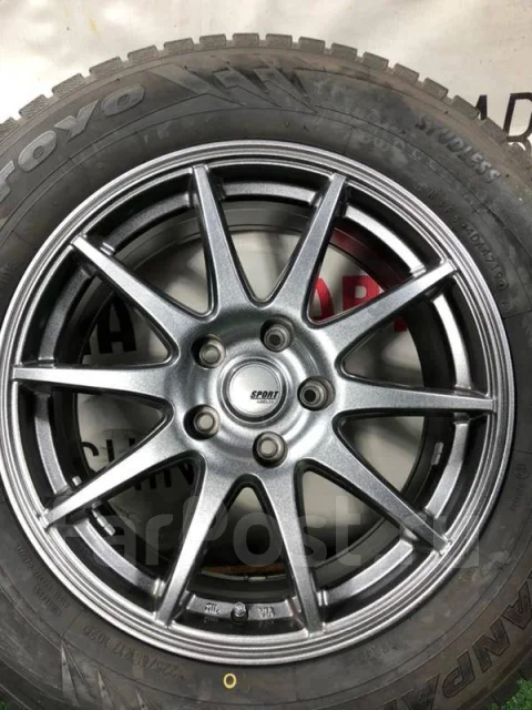 Abelia Sport