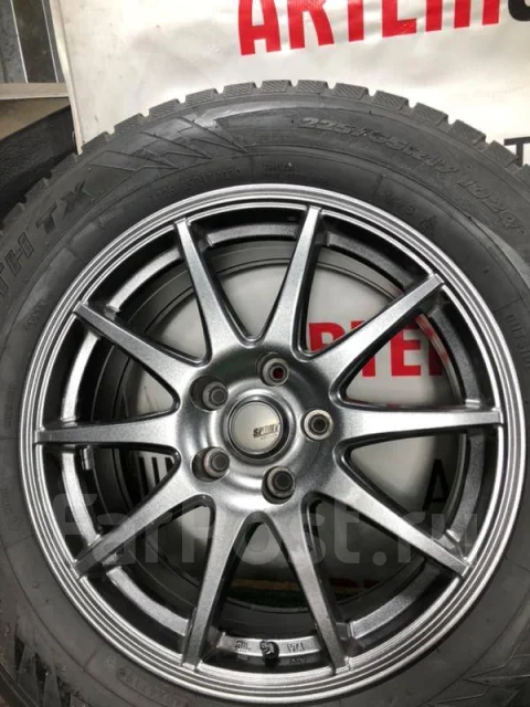 Abelia Sport