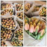 ��������. ��� ����� �� ������������ ����