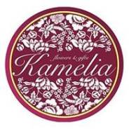 �������. �� ������� ����� ���������. �������� ���� 49� ����