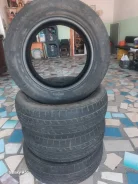 Sprut. ������, �/�, ����� 50 % ����