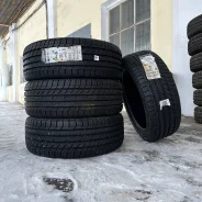 Goodyear Eagle Sport TZ. ������, ����� ����