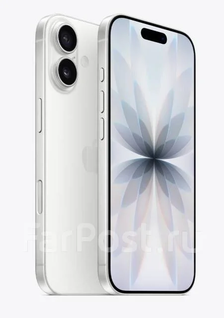 Apple iPhone 17. �����, 256 ��, �����, 3G, 4G LTE, 5G, NFC, eSIM. ��� ����� �� ���������� ����
