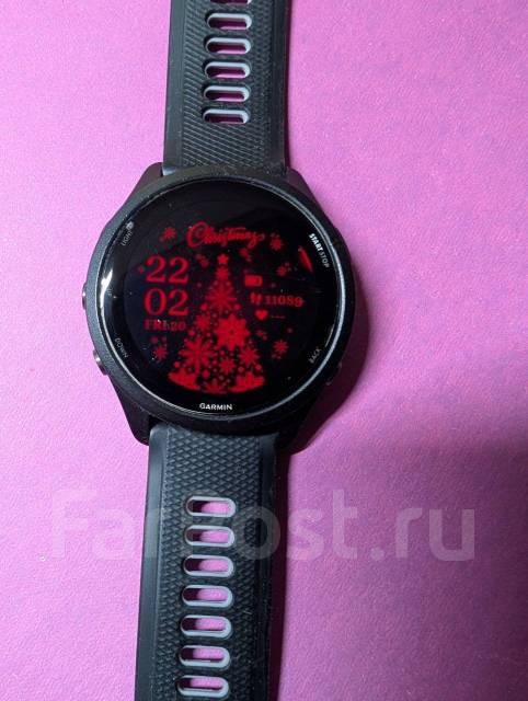 Garmin Forerunner ����