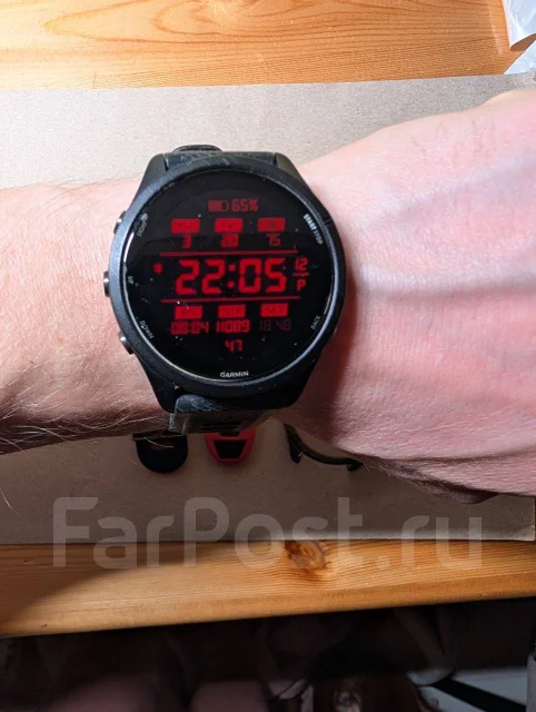 Garmin Forerunner ����