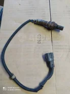 ������ ����������� 8946551020 8946551020 ����