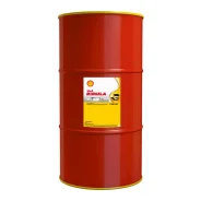 Shell Rimula