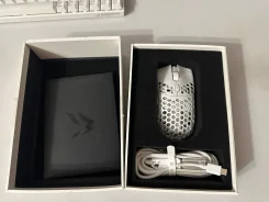 ���� �������. ����