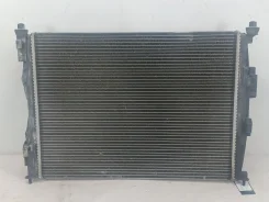 �������� ���������� ��� Nissan Dualis 21400JD900 21400JD900 ����
