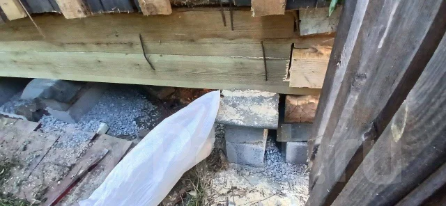 ������ ������. ����
