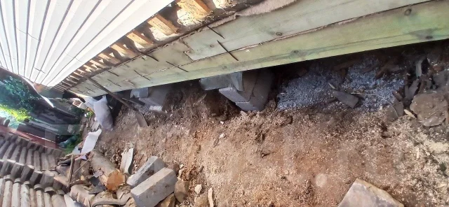 ������ ������. ����