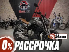 Regulmoto Alien Monster 300. 300����. ��., ��������, ���������, ��� ������� ����