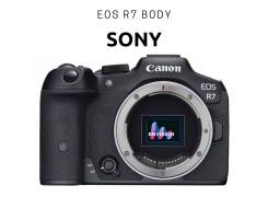 Canon EOS R7 Body. ��� ����� �� ������������ ����