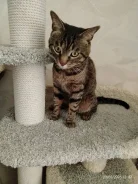 �����. ����