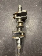 ���������. ����