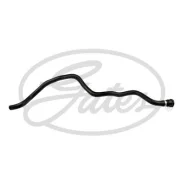 ��������� �������� BMW 3 1.6L/77KW 316 I M43 B16 164E3 E46 RWD,1.9L/77KW 316 I M43 B19 194E1 E46 RWD Gates 021763 021763 ����