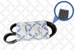 ������ ������������ 6PK1042EE Ford Focus 1.6 16V 98-04 Stellox 0601042SX 0601042SX ����