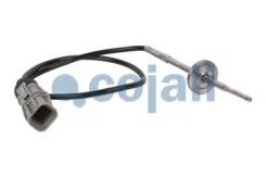 ������ ����������� �. �. EURO-5 MAN Cojali 2260399 2260399 ����