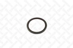 ������� ������� 132x160x10 MAN TGA/TGS/TGX Stellox 8101347SX 8101347SX ����