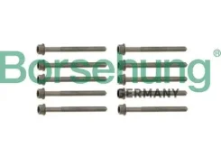 �������� ������ ��� AUDI/VW/Skoda/SEAT Borsehung B10625 B10625 ����
