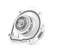 ����� ������� OPEL BSG BSG65500002 BSG65500002 ����