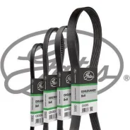 ������ �������� ������ 1122�� Thermo King SL/SLe/SLX/SLXe Gates CB0010 CB0010 ����