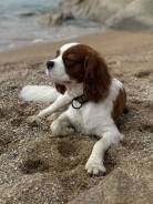 �������, ������� �� ����� �� ���������. �� ������� �.�. ����� ������ 7� ����