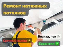 ���� ���� � �������� ��������. ����