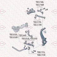 ����� �������� �������� ������� L ����� ��� AUDI A4/A6/A8/Allroad 95-Skoda Superb 01-VW Passat 96- Tatsumi TEE1748L TEE1748L ����
