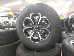 Dunlop Wild Cruising KC-X