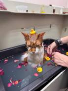 ������-��������. �� ���������. ����� ����������� 29 ����