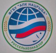 �������. ����"��� �������" ���������� ������. ����� ���������� (���. �������������) 30� ����