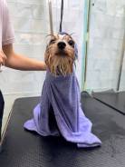 ������-��������. �� ���������. ����� ������ 16 ����