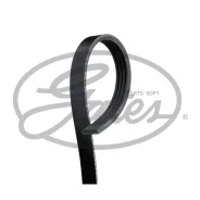 ������ ������������ Gates 4PK885 XF 4PK885 ����