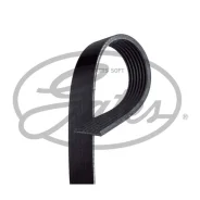 ������ ������������ Gates 7PK1243 7PK1243 ����