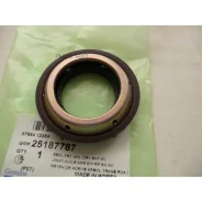 ������� ������� ������� General Motors 25187787 25187787 ����