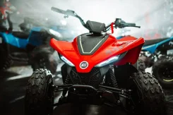 CFMoto CForce 110 EFI. ��������, ��� ���\���, �� ����