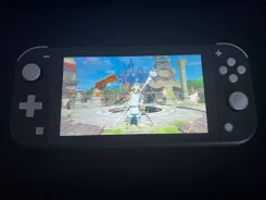 Nintendo Switch Lite ����