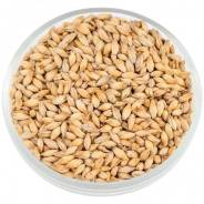 ����� "Pilsner" Castle Malting (EBC 2.5 - 3,5) ����