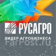 �������������. ��� "�������-��������". �. ��������� ����