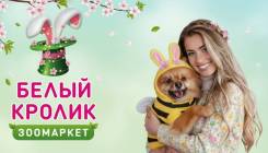 ��������-������. �� ��������� �.�. ����� ����� ������ 145� ����