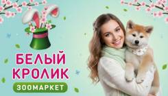 ��������-������. �� ��������� �.�. ����� ������������� 47 ����