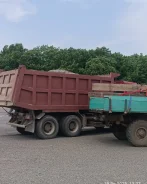 �����. ����