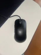���� �������. ����