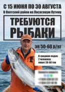 �����. ���"�����" ����