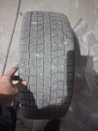 Falken Espia EP03. ������, ��� �����, �/�, ����� 35 % ����