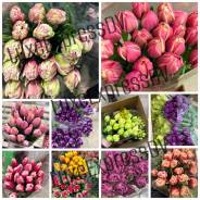 ��������. ����