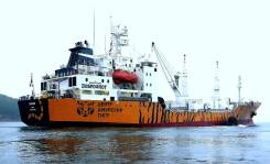 ������. ��� "������������". ��. ��������� 16 �. ����-������� ����