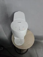 ���������. ����