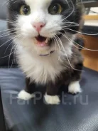 �����. ����